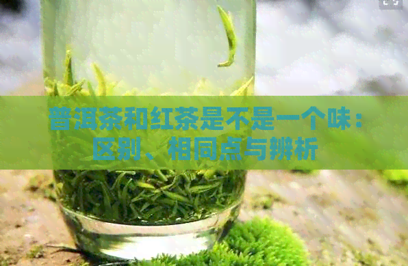 普洱茶和红茶是不是一个味：区别、相同点与辨析