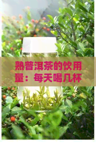 熟普洱茶的饮用量：每天喝几杯最合适？