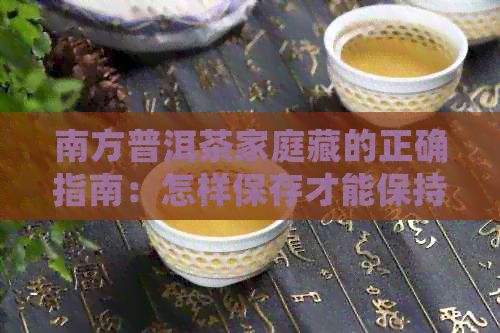 南方普洱茶家庭藏的正确指南：怎样保存才能保持茶叶品质