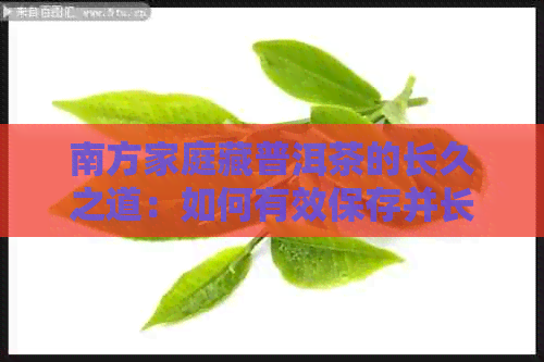 南方家庭藏普洱茶的长久之道：如何有效保存并长保质期？