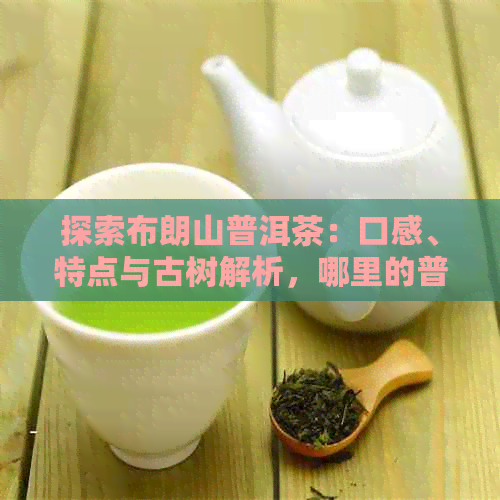 探索布朗山普洱茶：口感、特点与古树解析，哪里的普洱茶？