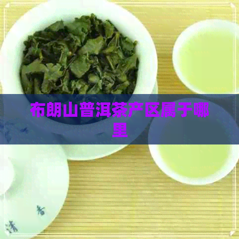 布朗山普洱茶产区属于哪里