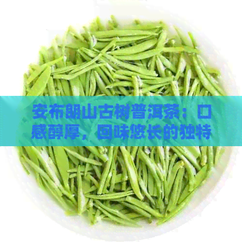 安布朗山古树普洱茶：口感醇厚，回味悠长的独特魅力