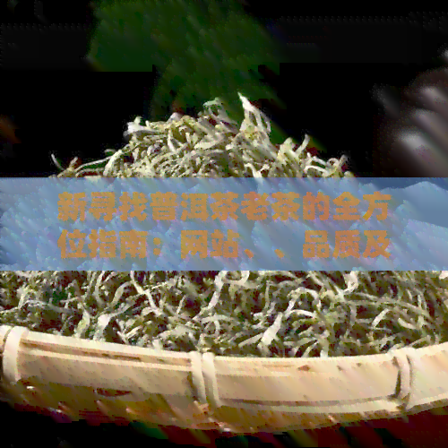 新寻找普洱茶老茶的全方位指南：网站、、品质及购买建议一应俱全