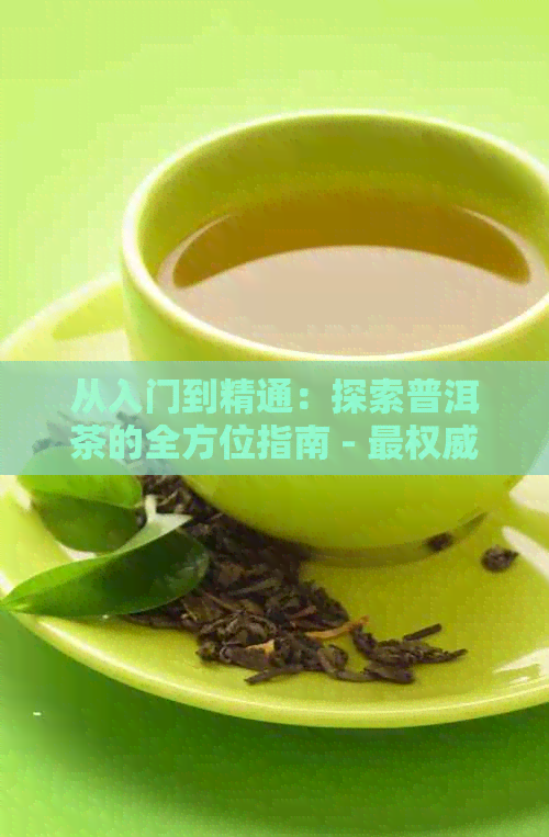 从入门到精通：探索普洱茶的全方位指南 - 最权威的站