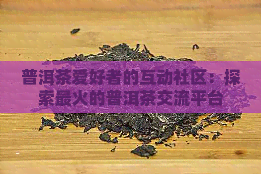 普洱茶爱好者的互动社区：探索最火的普洱茶交流平台