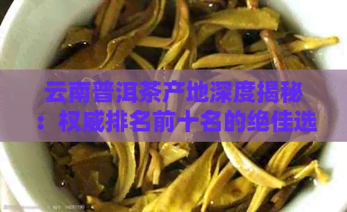 云南普洱茶产地深度揭秘：权威排名前十名的绝佳选择