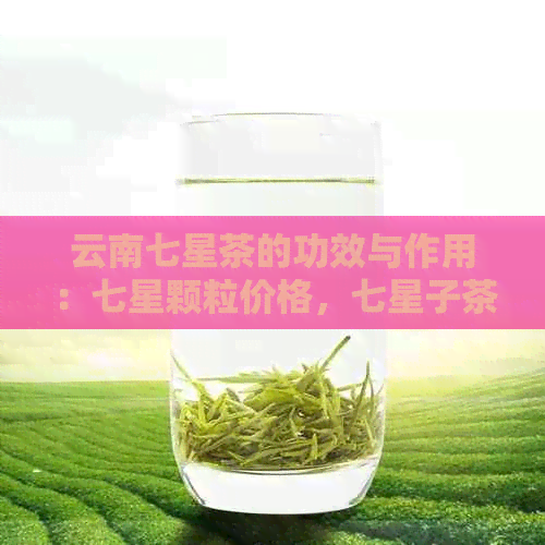 云南七星茶的功效与作用：七星颗粒价格，七星子茶与普洱茶的比较