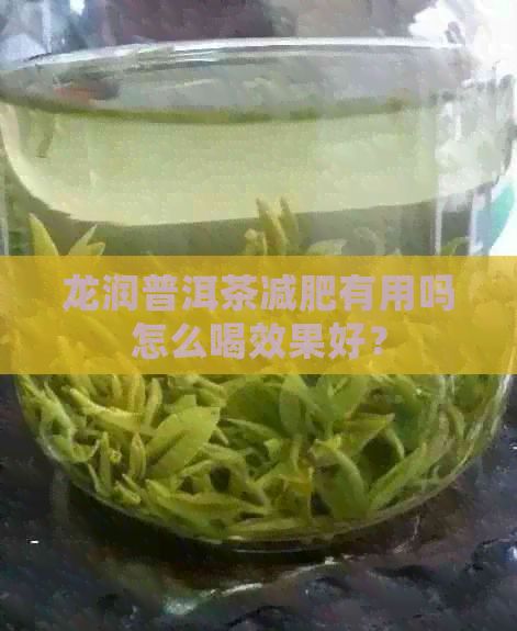 龙润普洱茶减肥有用吗怎么喝效果好？