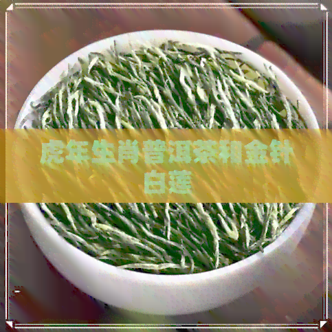 虎年生肖普洱茶和金针白莲