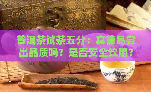 普洱茶试茶五分：真能品尝出品质吗？是否安全饮用？解答您的疑惑