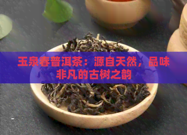 玉泉春普洱茶：源自天然，品味非凡的古树之韵