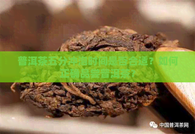 普洱茶五分冲泡时间是否合适？如何正确品尝普洱茶？