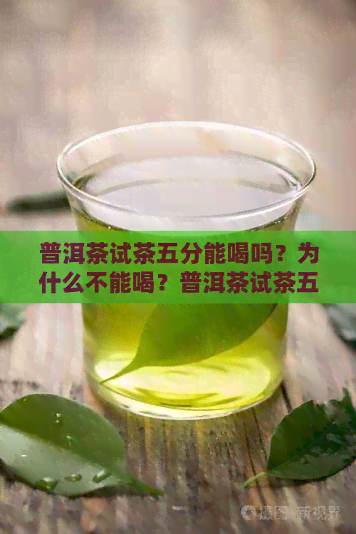 普洱茶试茶五分能喝吗？为什么不能喝？普洱茶试茶五分为什么会苦？