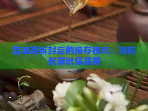 普洱茶拆封后的保存技巧：如何长茶叶保质期