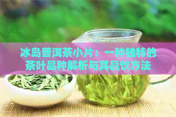 冰岛普洱茶小片：一种独特的茶叶品种解析与其品饮方法