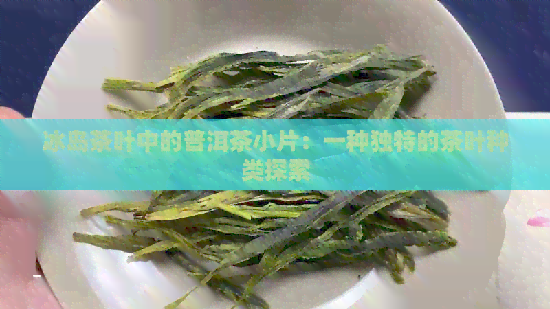 冰岛茶叶中的普洱茶小片：一种独特的茶叶种类探索