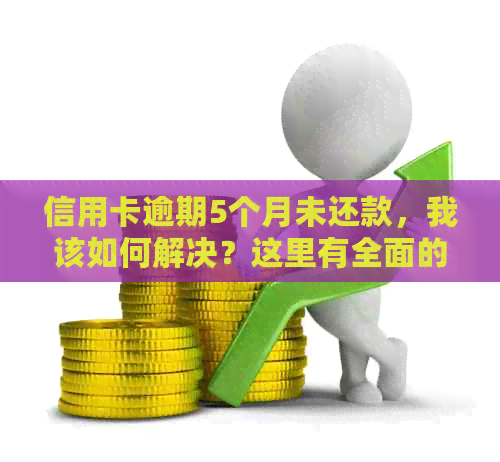 信用卡逾期5个月未还款，我该如何解决？这里有全面的解决方案！