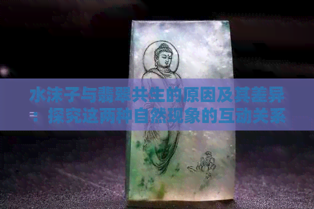 水沫子与翡翠共生的原因及其差异：探究这两种自然现象的互动关系