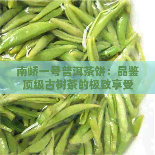 南峤一号普洱茶饼：品鉴顶级古树茶的极致享受