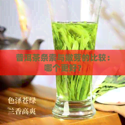 普洱茶条索与嫩芽的比较：哪个更好？