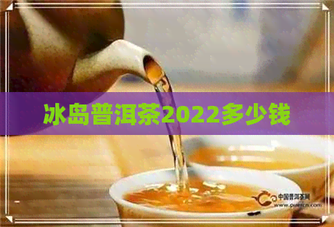 冰岛普洱茶2022多少钱