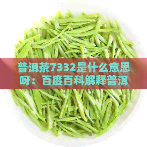 普洱茶7332是什么意思呀：百度百科解释普洱茶7332的来源、特点及制作工艺。