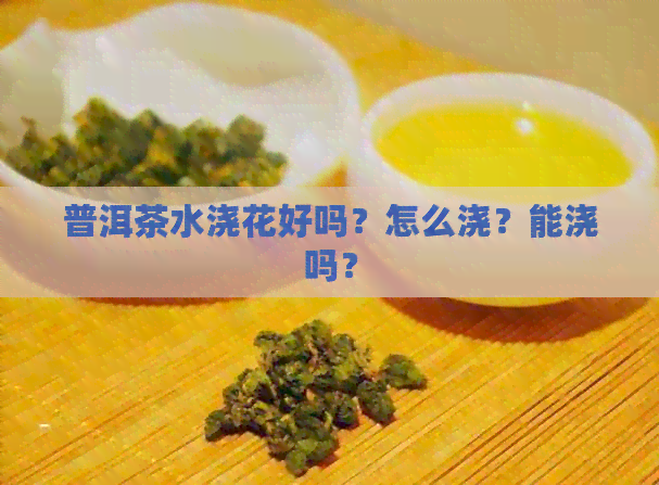 普洱茶水浇花好吗？怎么浇？能浇吗？