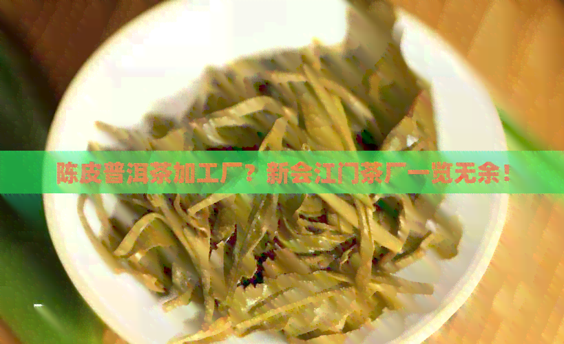 陈皮普洱茶加工厂？新会江门茶厂一览无余！