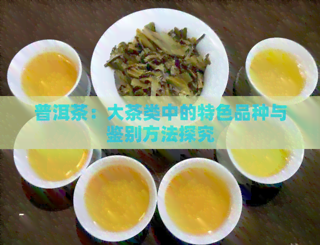 普洱茶：大茶类中的特色品种与鉴别方法探究