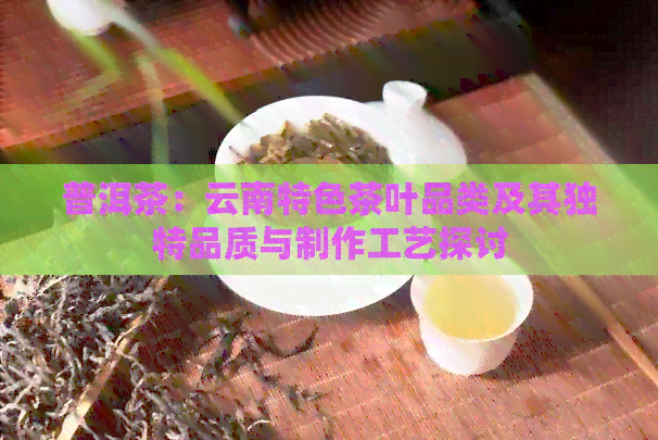 普洱茶：云南特色茶叶品类及其独特品质与制作工艺探讨