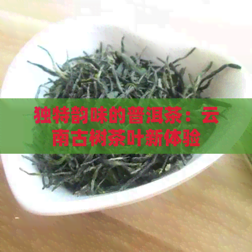 独特韵味的普洱茶：云南古树茶叶新体验