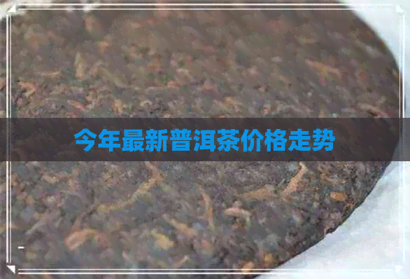 今年最新普洱茶价格走势