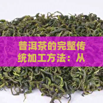 普洱茶的完整传统加工方法：从采摘到成品，全方位解析