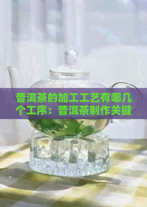 普洱茶的加工工艺有哪几个工序：普洱茶制作关键步骤详解