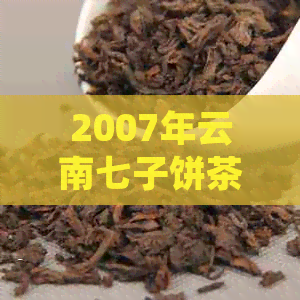 2007年云南七子饼茶早春357克：详细介绍，产地，口感和品鉴方法的全面指南