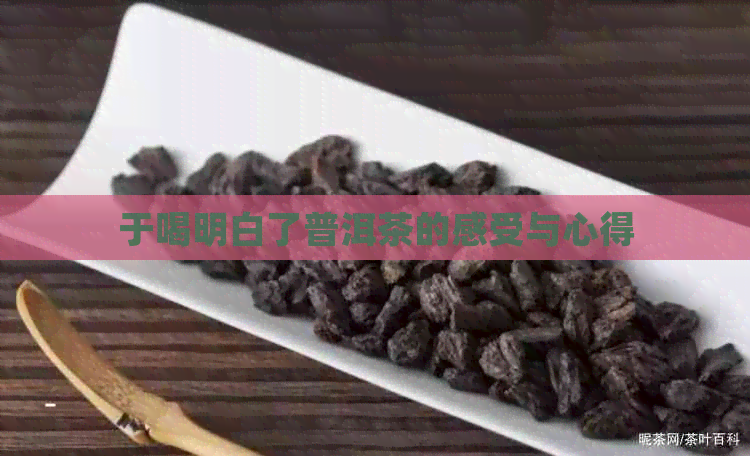 于喝明白了普洱茶的感受与心得