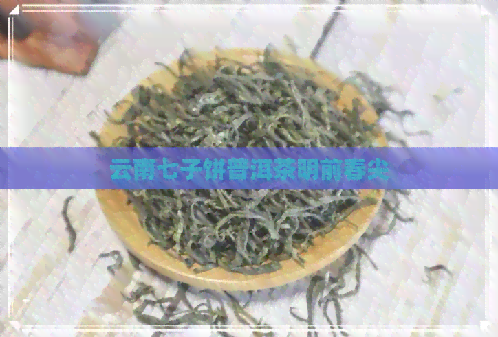 云南七子饼普洱茶明前春尖