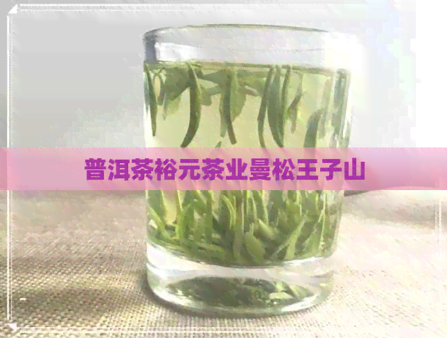 普洱茶裕元茶业曼松王子山