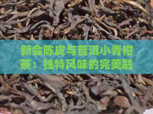 新会陈皮与普洱小青柑茶：独特风味的完美融合，你值得拥有！