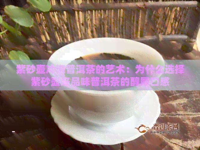 紫砂壶冲泡普洱茶的艺术：为什么选择紫砂壶来品味普洱茶的醇厚口感