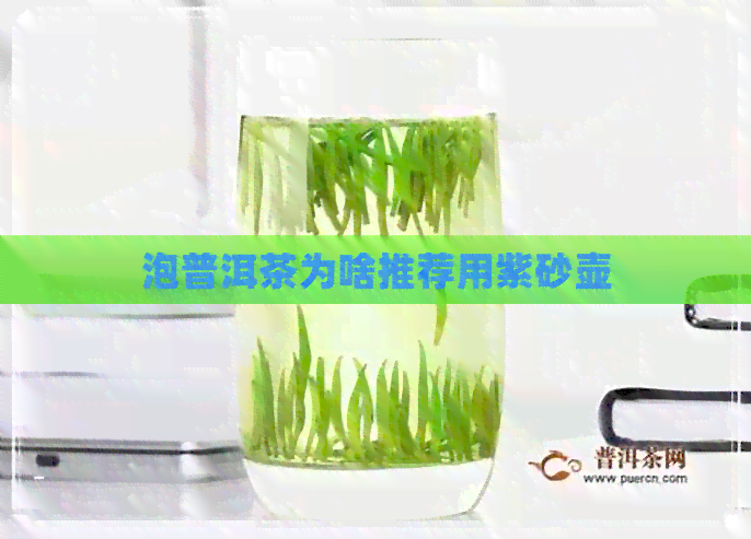 泡普洱茶为啥推荐用紫砂壶