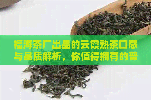 福海茶厂出品的云霞熟茶口感与品质解析，你值得拥有的普洱茶体验