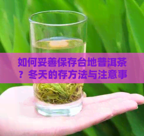 如何妥善保存台地普洱茶？冬天的存方法与注意事项