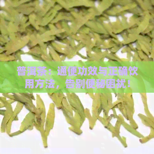 普洱茶：通便功效与正确饮用方法，告别便秘困扰！