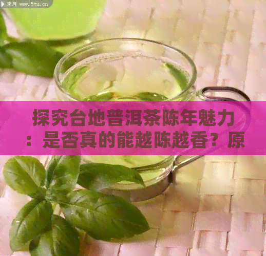 探究台地普洱茶陈年魅力：是否真的能越陈越香？原因是什么？