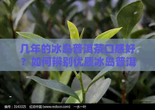 几年的冰岛普洱茶口感好？如何辨别优质冰岛普洱茶？收藏与品鉴指南！