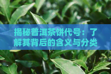 揭秘普洱茶饼代号：了解其背后的含义与分类