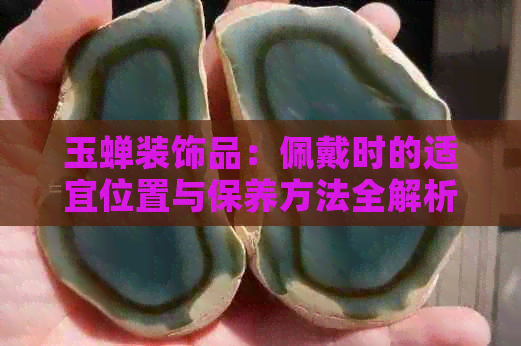 玉蝉装饰品：佩戴时的适宜位置与保养方法全解析