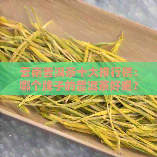 云南普洱茶十大排行榜：哪个牌子的普洱茶好喝？